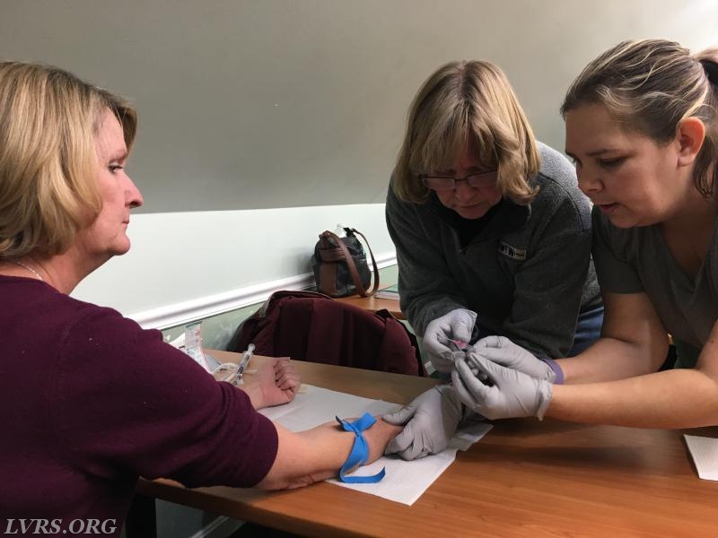 Carol sticking Linda at her IV class.